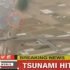 Supuesto Ovni durante el Tsunami en Japon