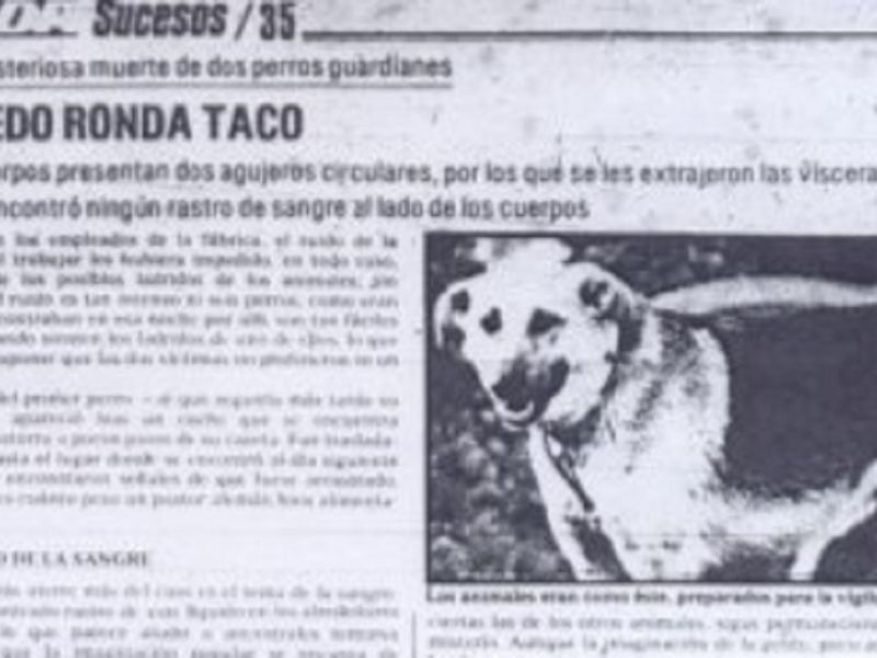 Cuarto Milenio: Las Matanzas de Taco