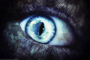 Manuel Blanco Romasanta. El hombre lobo de Allariz