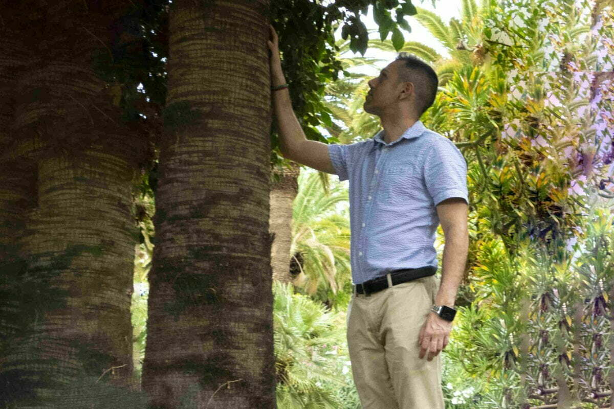 Las plantas tienen más sentidos que los seres humanos
